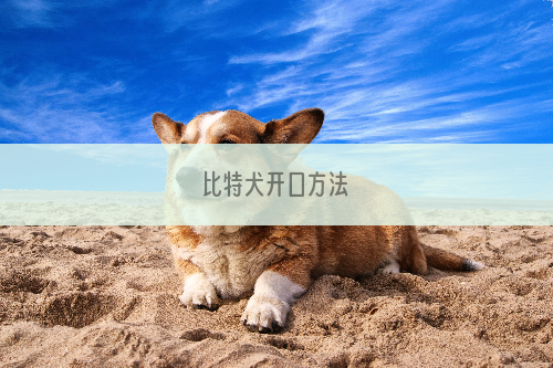 比特犬开口方法