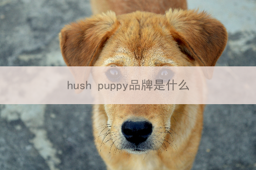 hush puppy品牌是什么狗