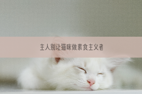 主人别让猫咪做素食主义者