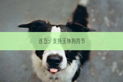 连岳：支持玉林狗肉节
