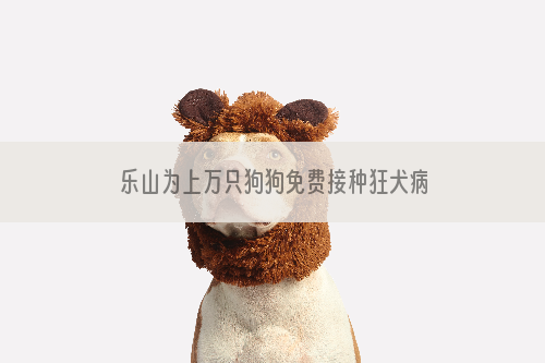 乐山为上万只狗狗免费接种狂犬病疫苗，快带你的狗狗来！