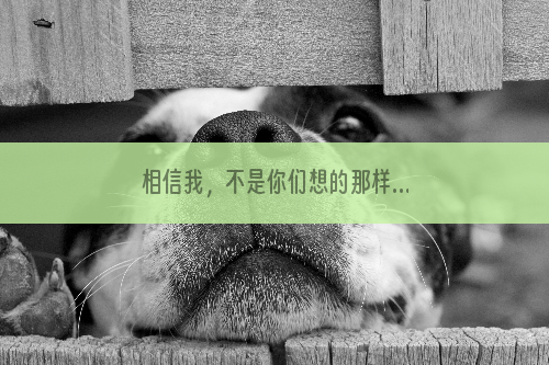 相信我，不是你们想的那样.......