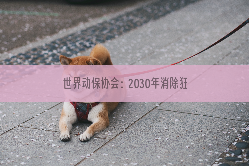 世界动保协会：2030年消除狂犬病的解决方案！