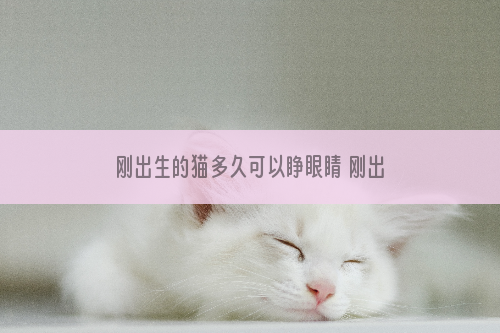 刚出生的猫多久可以睁眼睛 刚出生的猫多久可以睁开眼睛