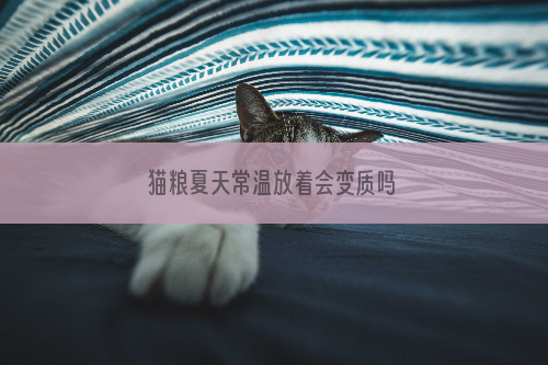 猫粮夏天常温放着会变质吗