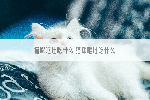 猫咪呕吐吃什么 猫咪呕吐吃什么药