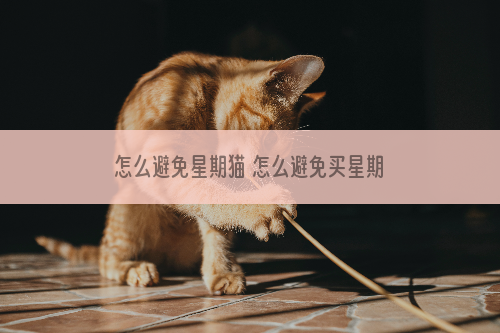 怎么避免星期猫 怎么避免买星期猫