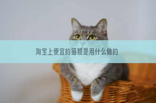 淘宝上便宜的猫粮是用什么做的 说出来你可能都不相信....