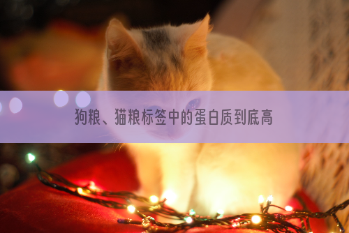 狗粮、猫粮标签中的蛋白质到底高好还是低好