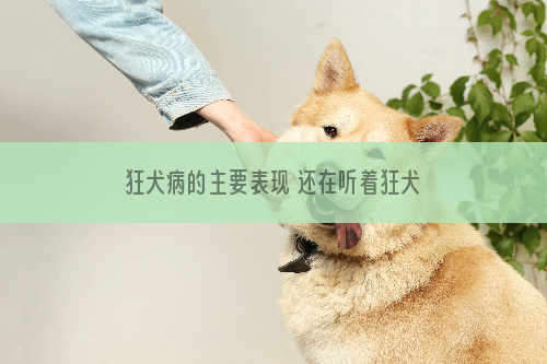 狂犬病的主要表现 还在听着狂犬病的误区吗