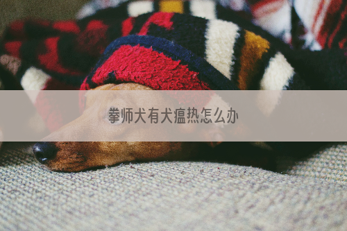 拳师犬有犬瘟热怎么办