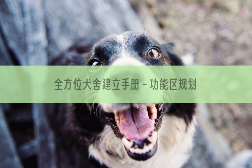 全方位犬舍建立手册－功能区规划