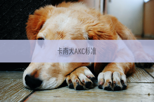 卡南犬AKC标准