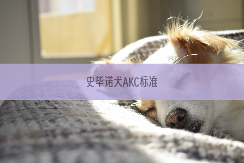 史毕诺犬AKC标准