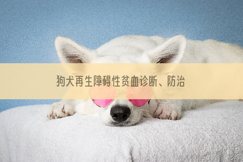 狗犬再生障碍性贫血诊断、防治
