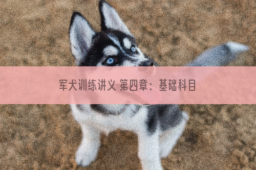 军犬训练讲义 第四章：基础科目的训练第三节