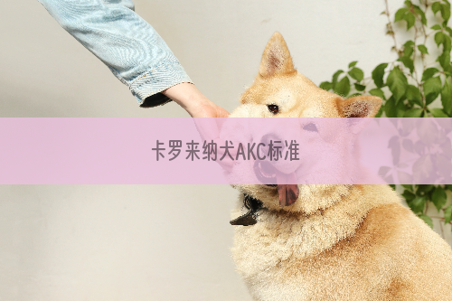 卡罗来纳犬AKC标准