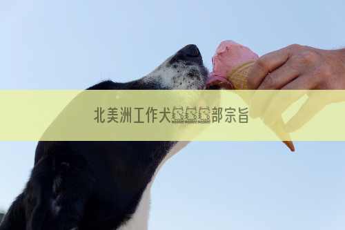 北美洲工作犬會訓練部宗旨