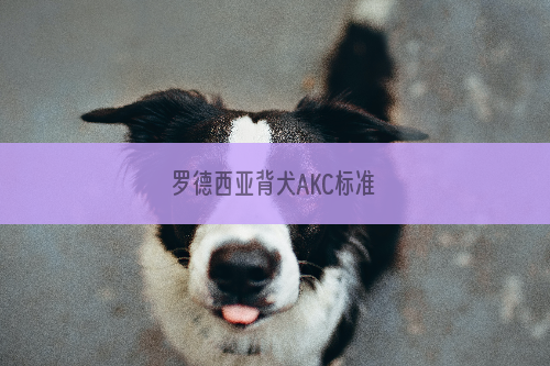 罗德西亚背犬AKC标准