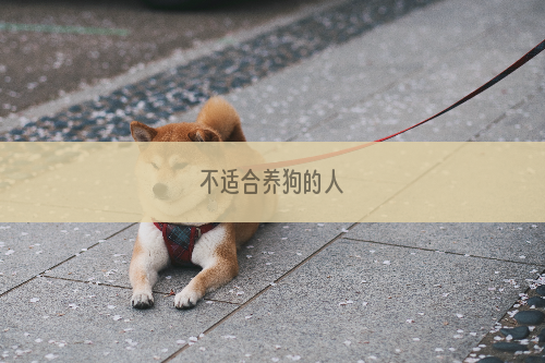 不适合养狗的人