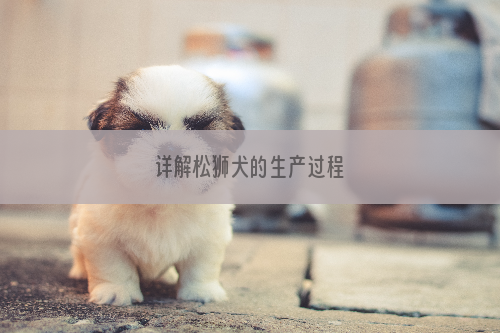 详解松狮犬的生产过程