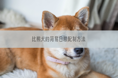 比熊犬的简易日粮配制方法