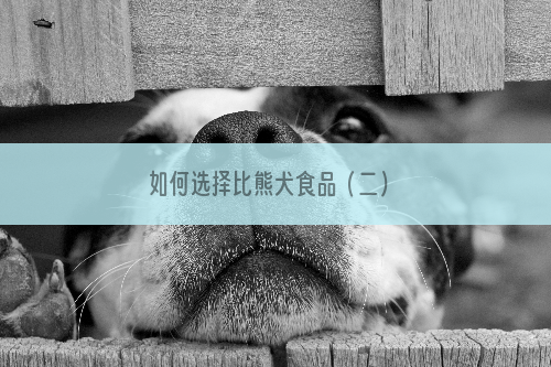 如何选择比熊犬食品（二）