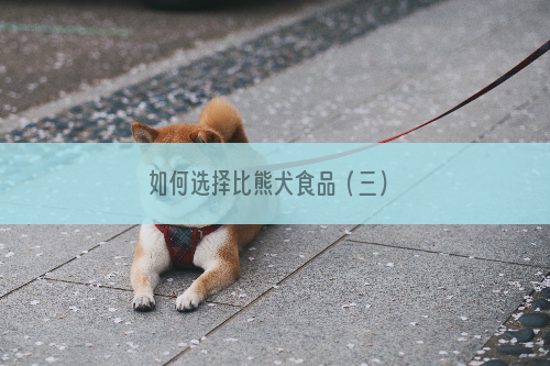 如何选择比熊犬食品（三）