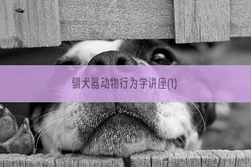 驯犬器动物行为学讲座(1)
