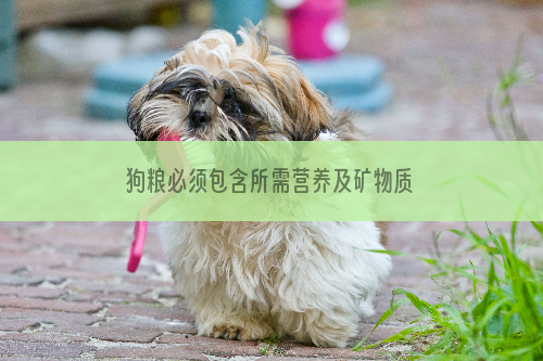 狗粮必须包含所需营养及矿物质
