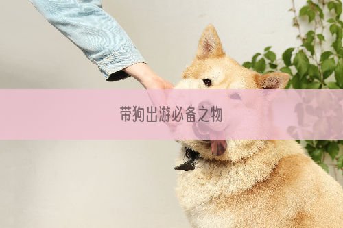 带狗出游必备之物