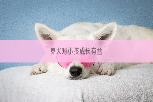 养犬对小孩成长有益