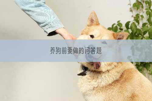 养狗前要做的问答题