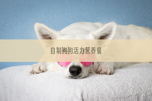 自制狗狗活力营养餐