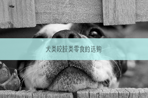 犬类咬胶类零食的选购