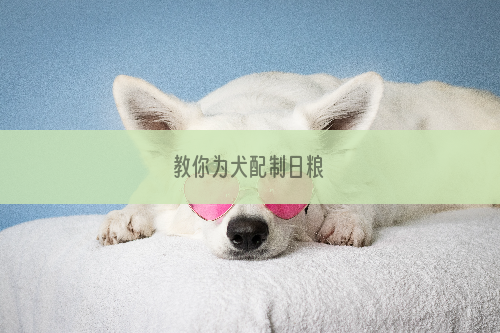 教你为犬配制日粮