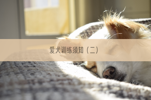 爱犬训练须知（二）