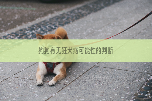 狗狗有无狂犬病可能性的判断