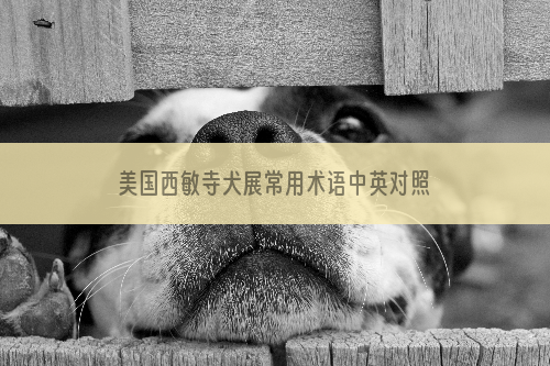 美国西敏寺犬展常用术语中英对照