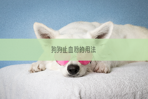 狗狗止血粉的用法
