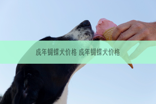 成年蝴蝶犬价格 成年蝴蝶犬价格多少