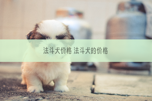 法斗犬价格 法斗犬的价格