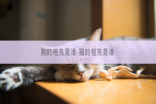 狗的祖先是谁-猫的祖先是谁