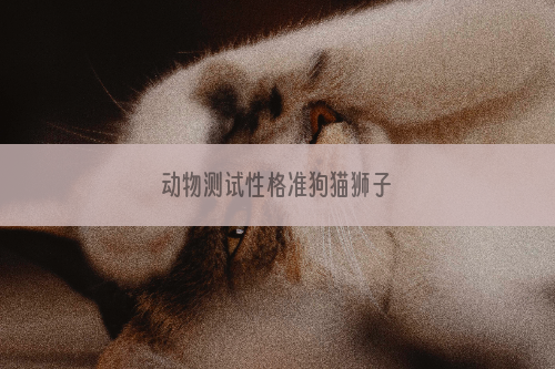 动物测试性格准狗猫狮子