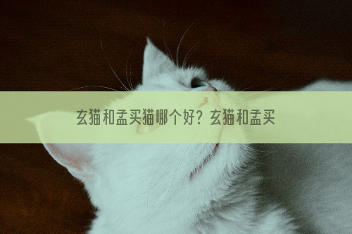 玄猫和孟买猫哪个好？玄猫和孟买猫的区别