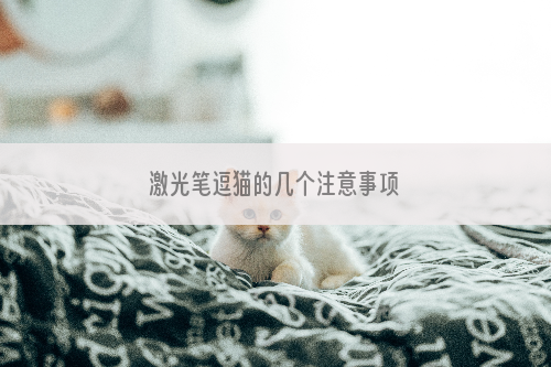 激光笔逗猫的几个注意事项