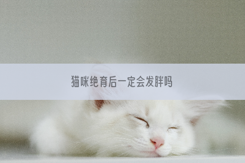 猫咪绝育后一定会发胖吗