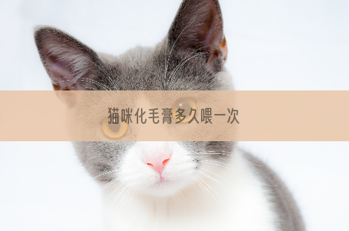 猫咪化毛膏多久喂一次