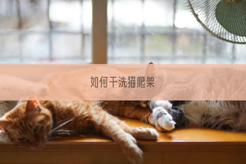如何干洗猫爬架