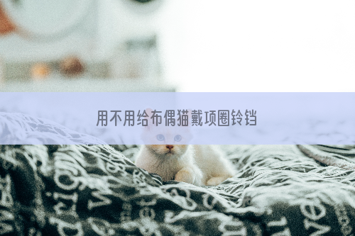 用不用给布偶猫戴项圈铃铛